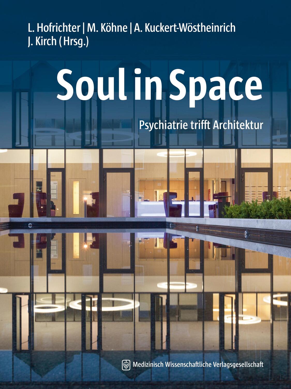 Cover: 9783954666935 | Soul in Space | Psychiatrie trifft Architektur | Hofrichter (u. a.)