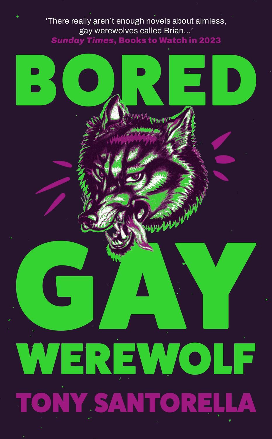Cover: 9781838957223 | Bored Gay Werewolf | Tony Santorella | Taschenbuch | Englisch | 2023