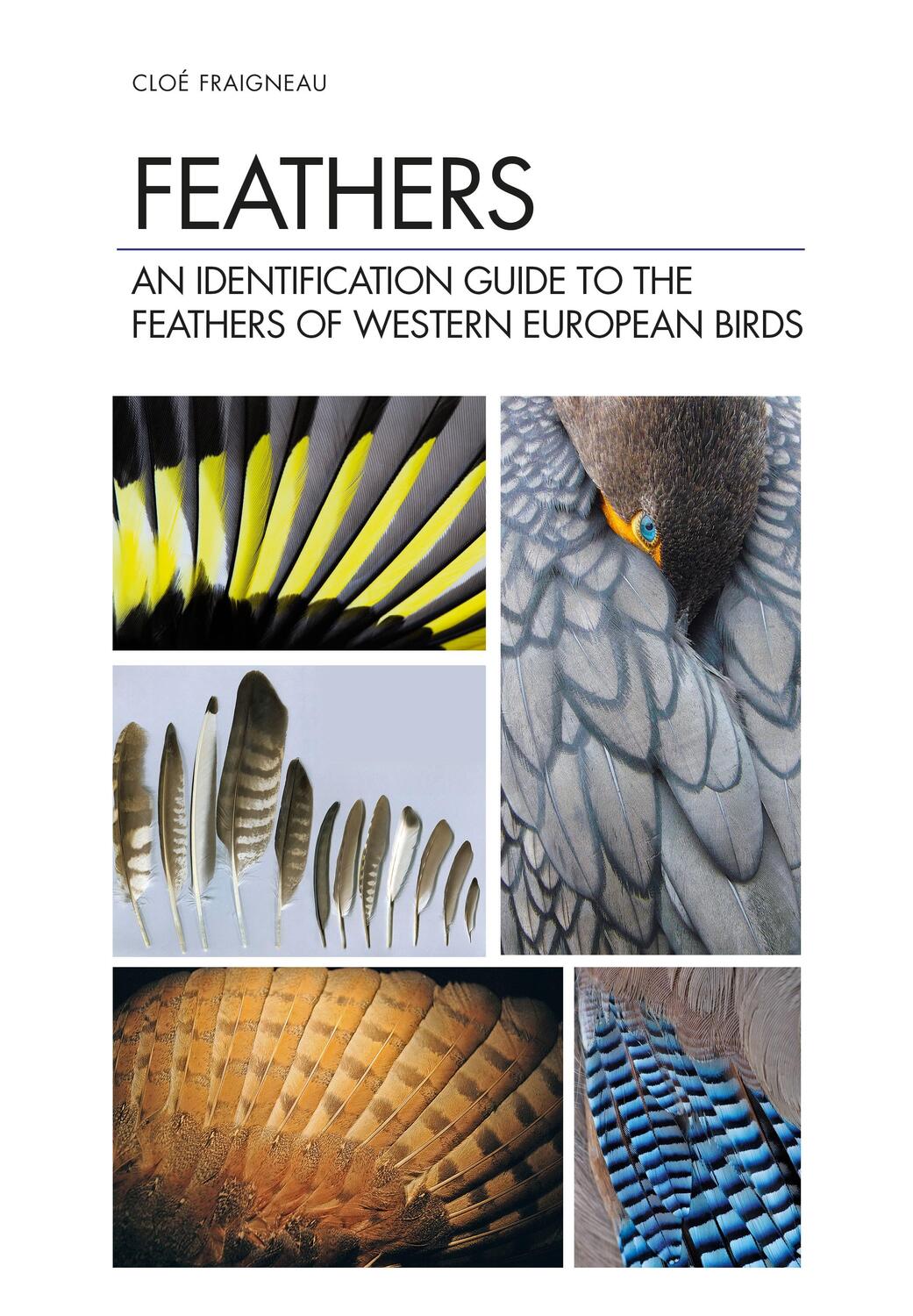 Cover: 9781472971722 | Feathers | Cloe Fraigneau | Buch | Gebunden | Englisch | 2021