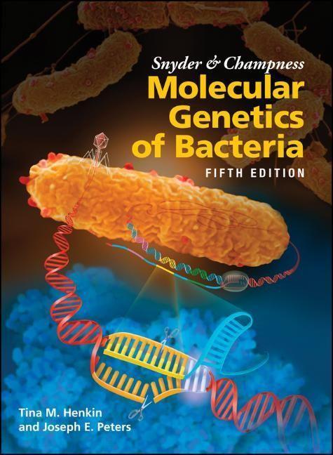 Cover: 9781555819750 | Snyder and Champness Molecular Genetics of Bacteria | Henkin (u. a.)