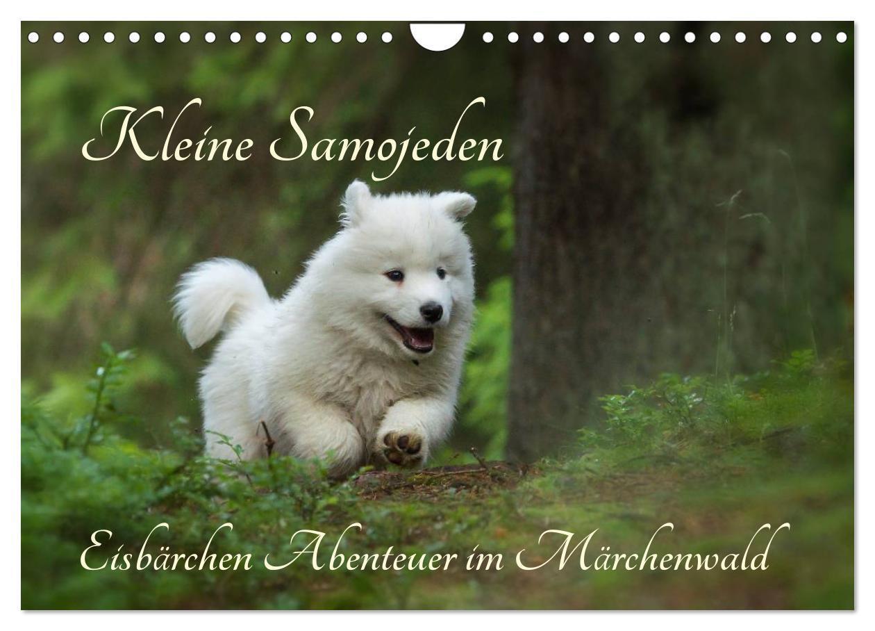 Cover: 9783383376009 | Kleine Samojeden - Eisbärchen Abenteuer im Märchenwald...