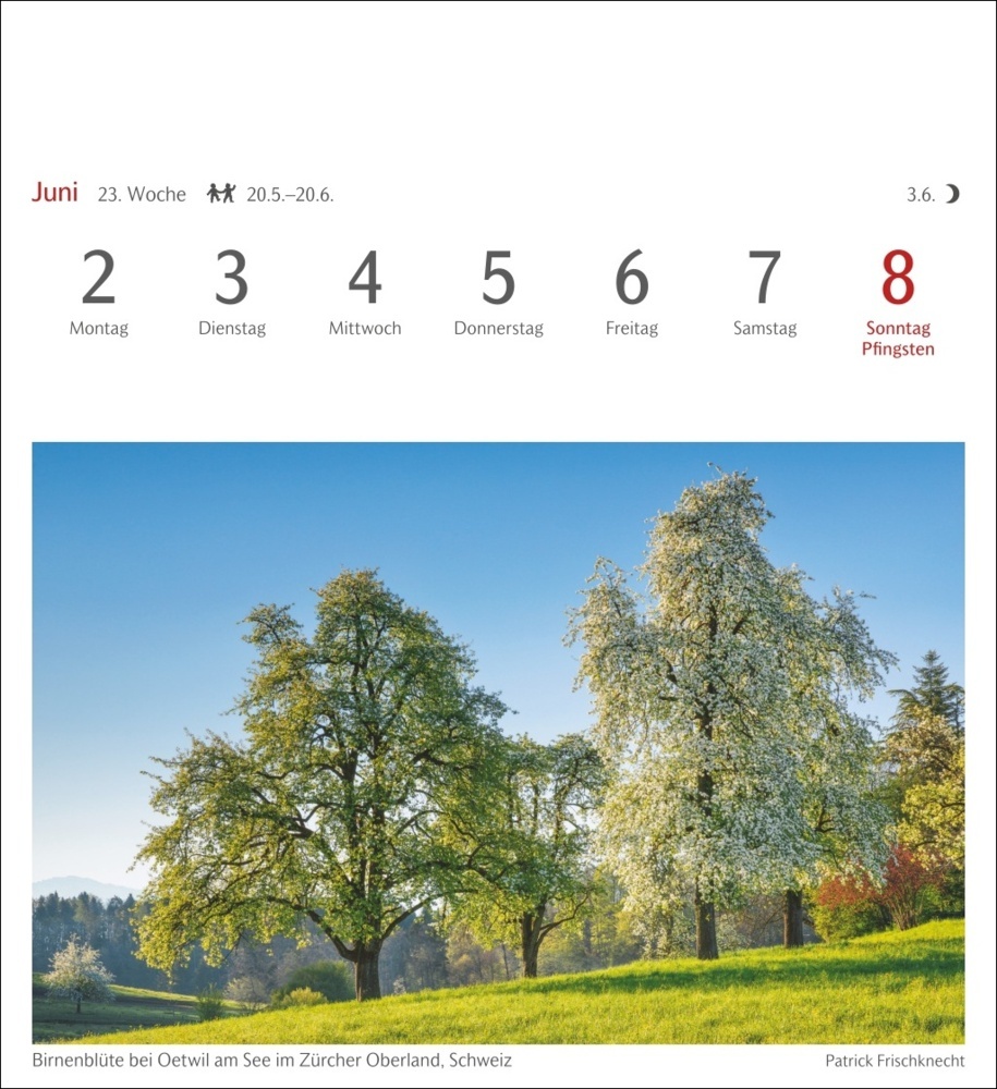 Bild: 9783840033483 | Bäume Postkartenkalender 2025 - Wochenkalender mit 53 Postkarten