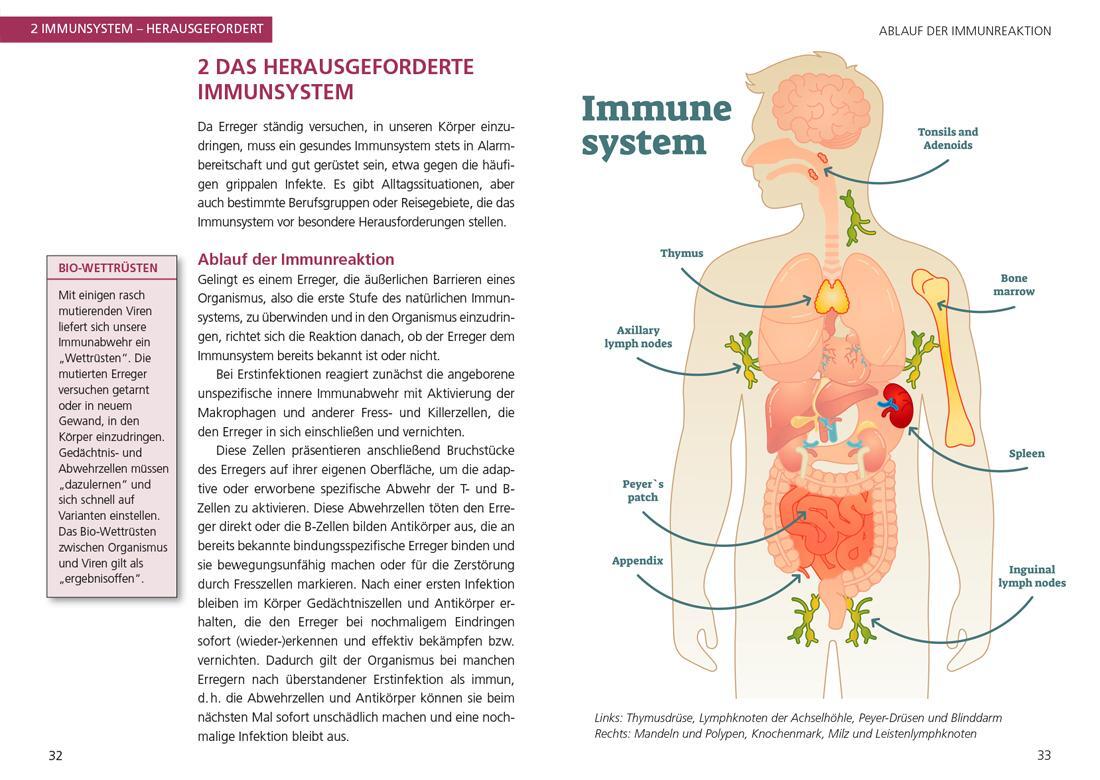 Bild: 9783735919809 | So stärken Sie Ihr Immunsystem | garant Verlag GmbH | Taschenbuch