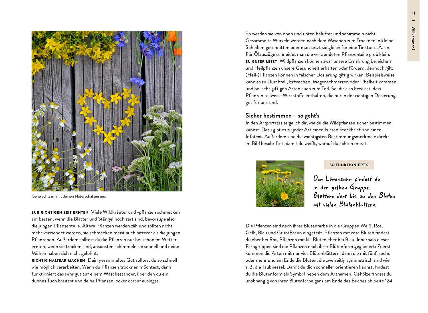 Bild: 9783440177488 | Nature Guide Wildpflanzen | Theresa Ester | Taschenbuch | 160 S.