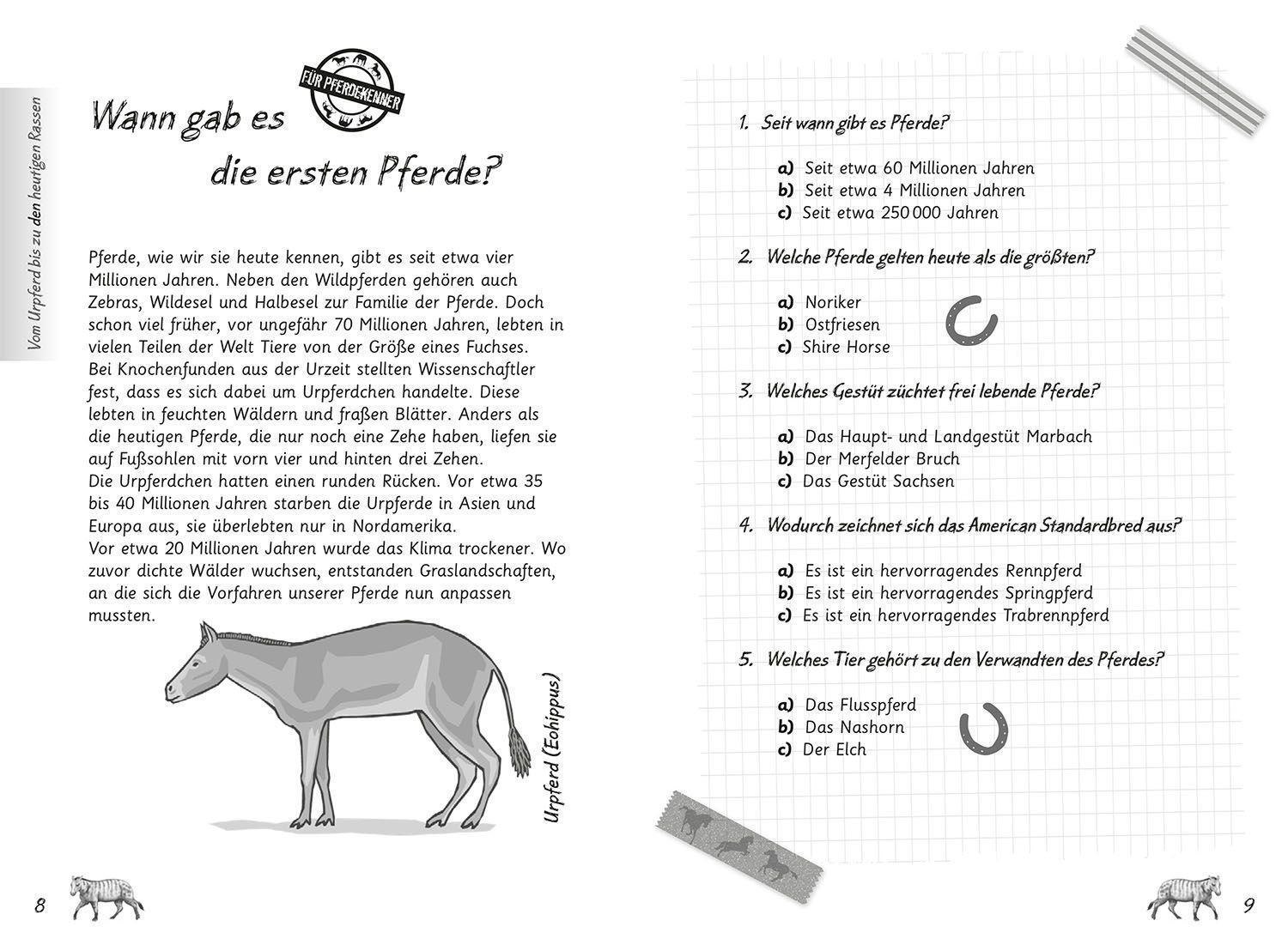Bild: 9783440177358 | Mein Pferdequiz | 634 Fragen für echte Pferdefans | Olbricht (u. a.)