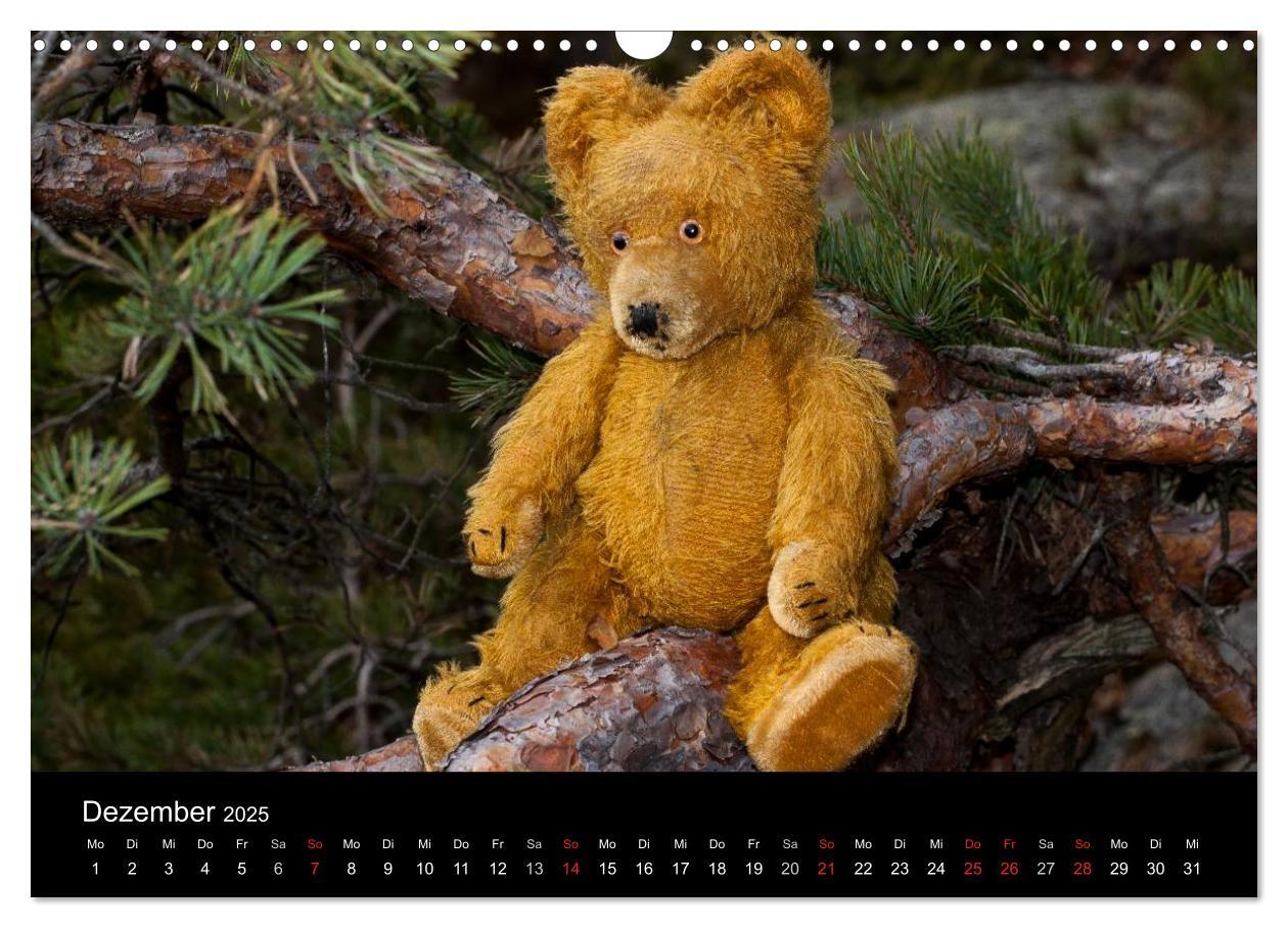 Bild: 9783435674084 | Teddy Basse, Fortsetzung... (Wandkalender 2025 DIN A3 quer),...