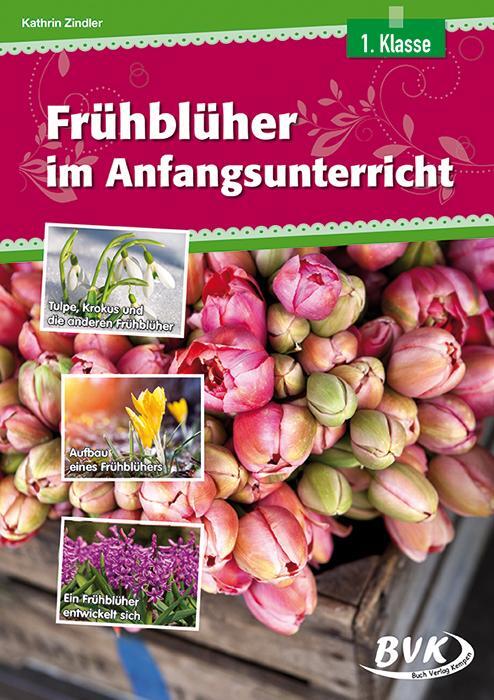 Cover: 9783867405676 | Frühblüher im Anfangsunterricht | Kathrin Zindler | Broschüre | 2015