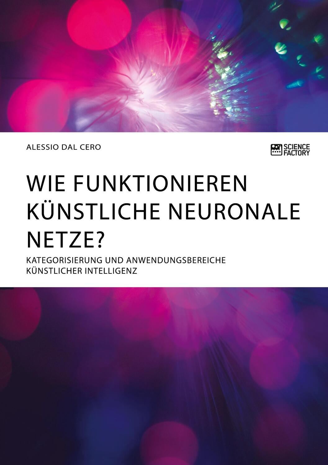 Cover: 9783964871923 | Wie funktionieren künstliche neuronale Netze? Kategorisierung und...