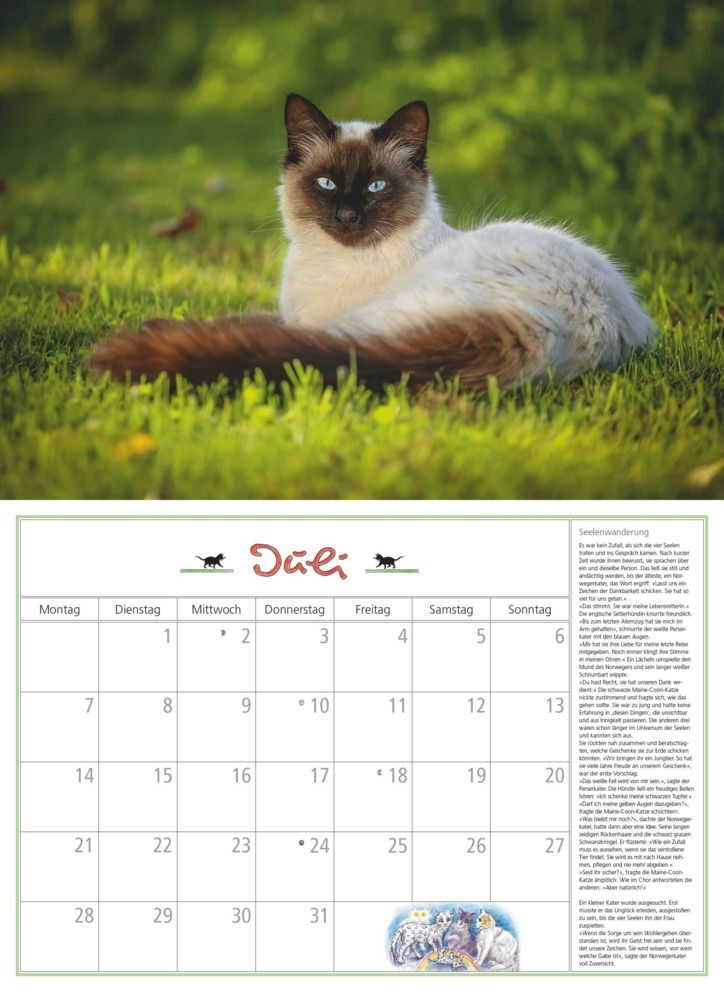 Bild: 4250809652412 | DUMONT - DUMONTS Katzenkalender 2025 Broschürenkalender, 42x29cm,...