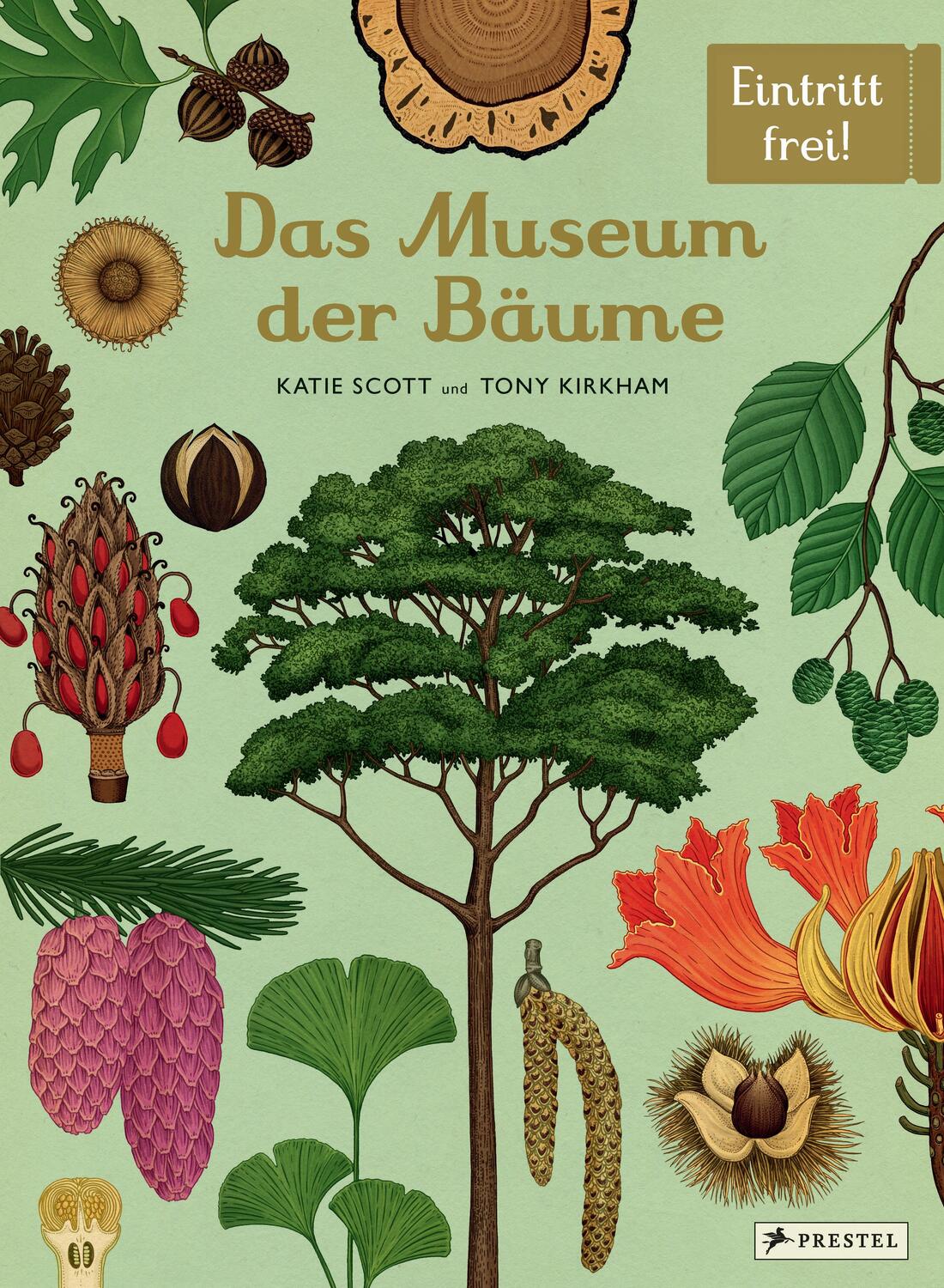 Cover: 9783791375540 | Das Museum der Bäume | Eintritt frei! | Tony Kirkham (u. a.) | Buch