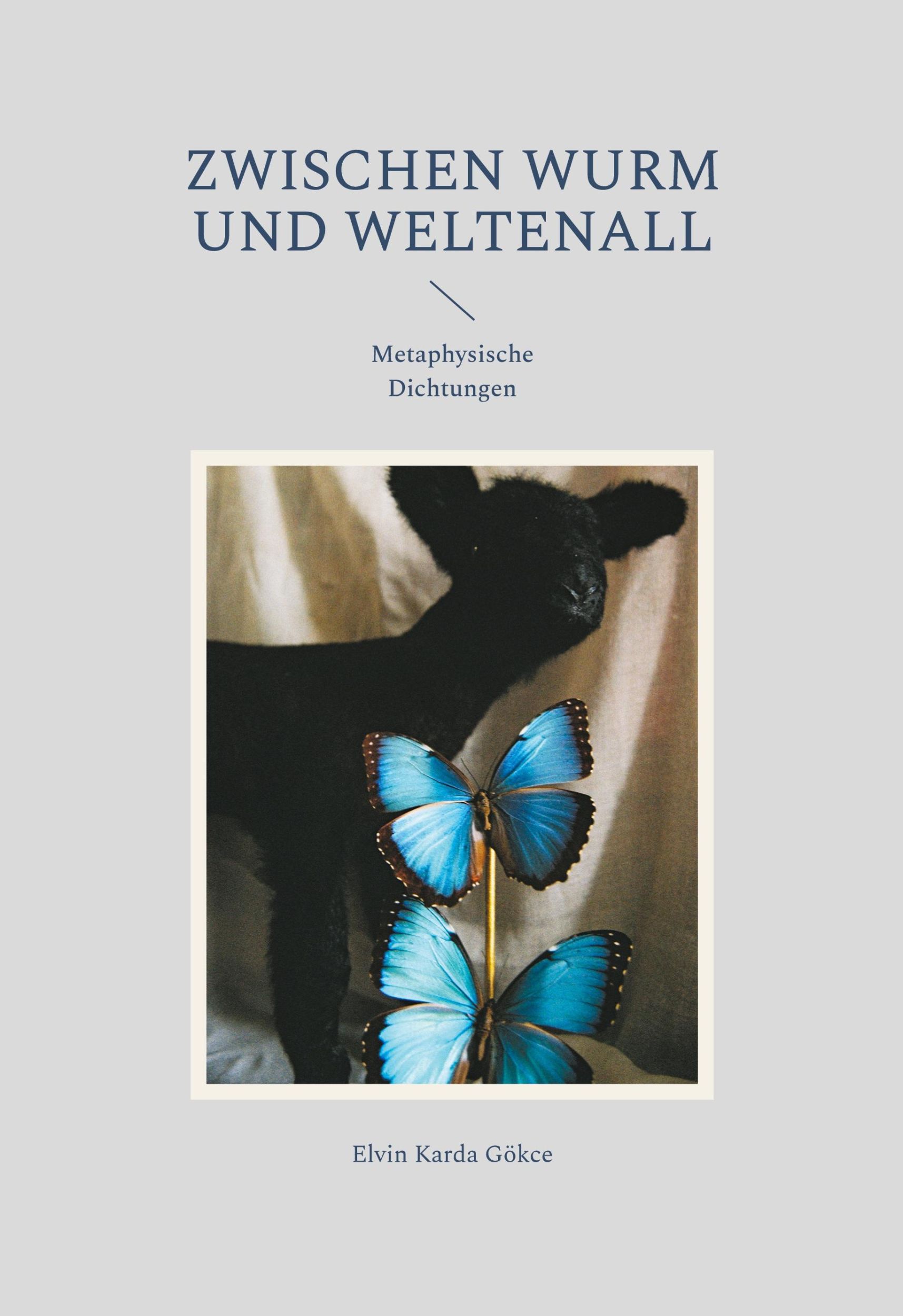 Cover: 9783759720191 | Zwischen Wurm und Weltenall | Metaphysische Dichtungen | Gökce | Buch