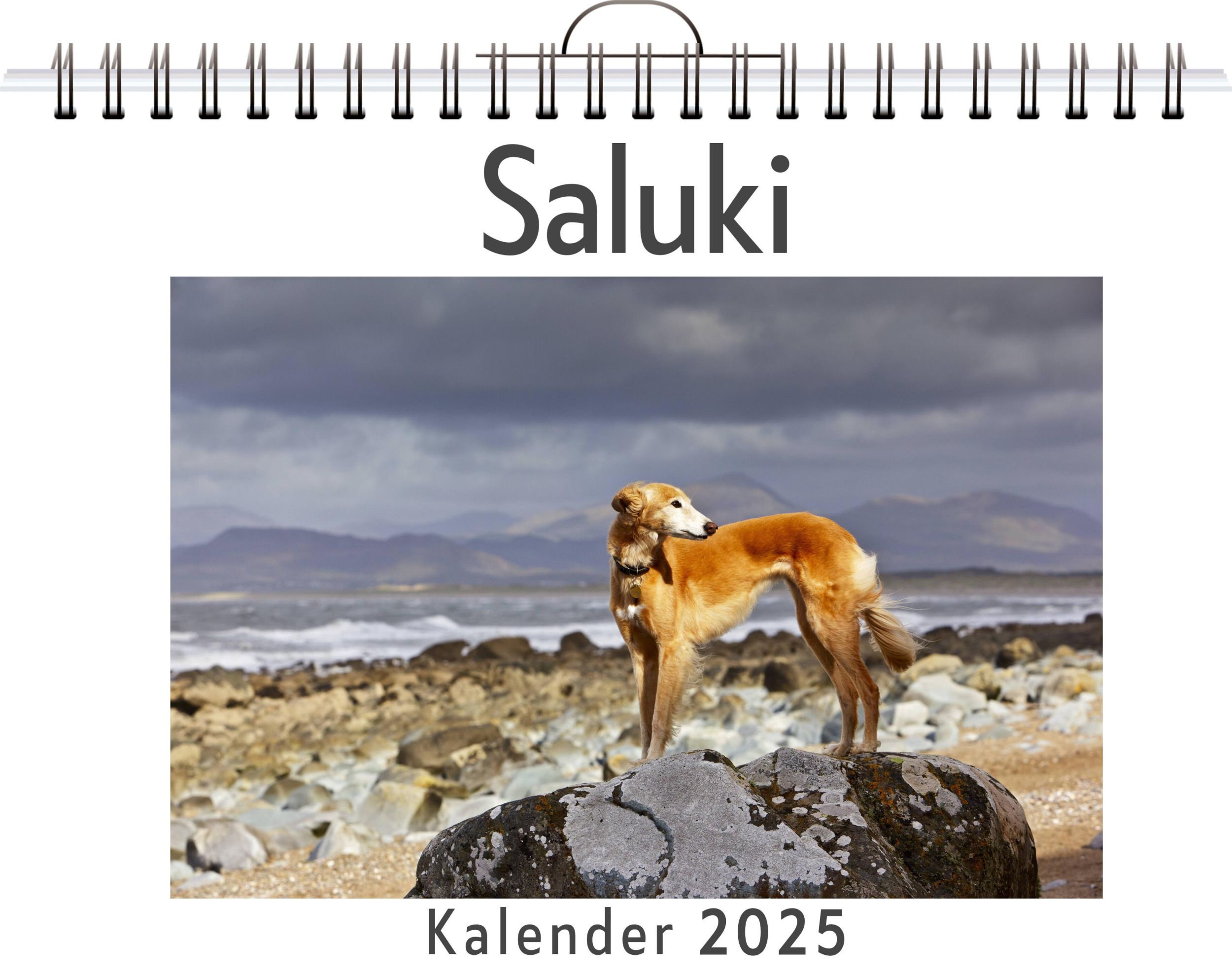 Cover: 9783759120427 | Saluki | Zoe Peters | Kalender | Kalender | 14 S. | Deutsch | FlipFlop