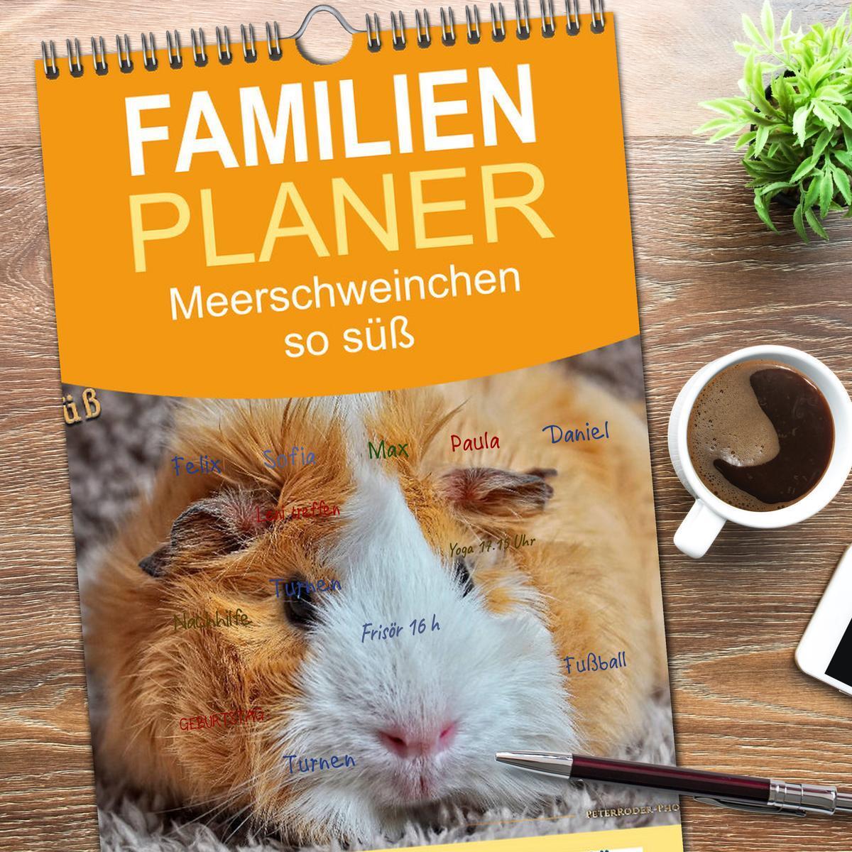 Bild: 9783457107898 | Familienplaner 2025 - Meerschweinchen - so süß mit 5 Spalten...