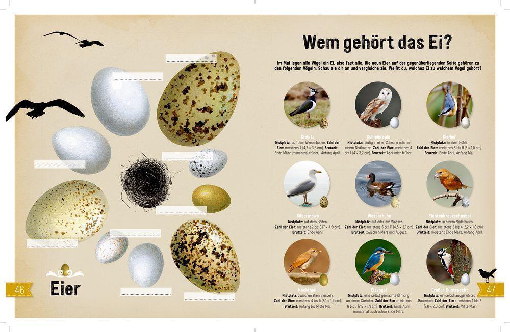 Bild: 9783959390729 | NATUR | Entdecken - Verstehen - Mitmachen | Taschenbuch | Deutsch