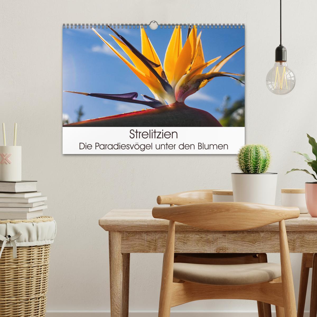 Bild: 9783435398553 | Strelitzien - die Paradiesvögel unter den Blumen (Wandkalender 2025...