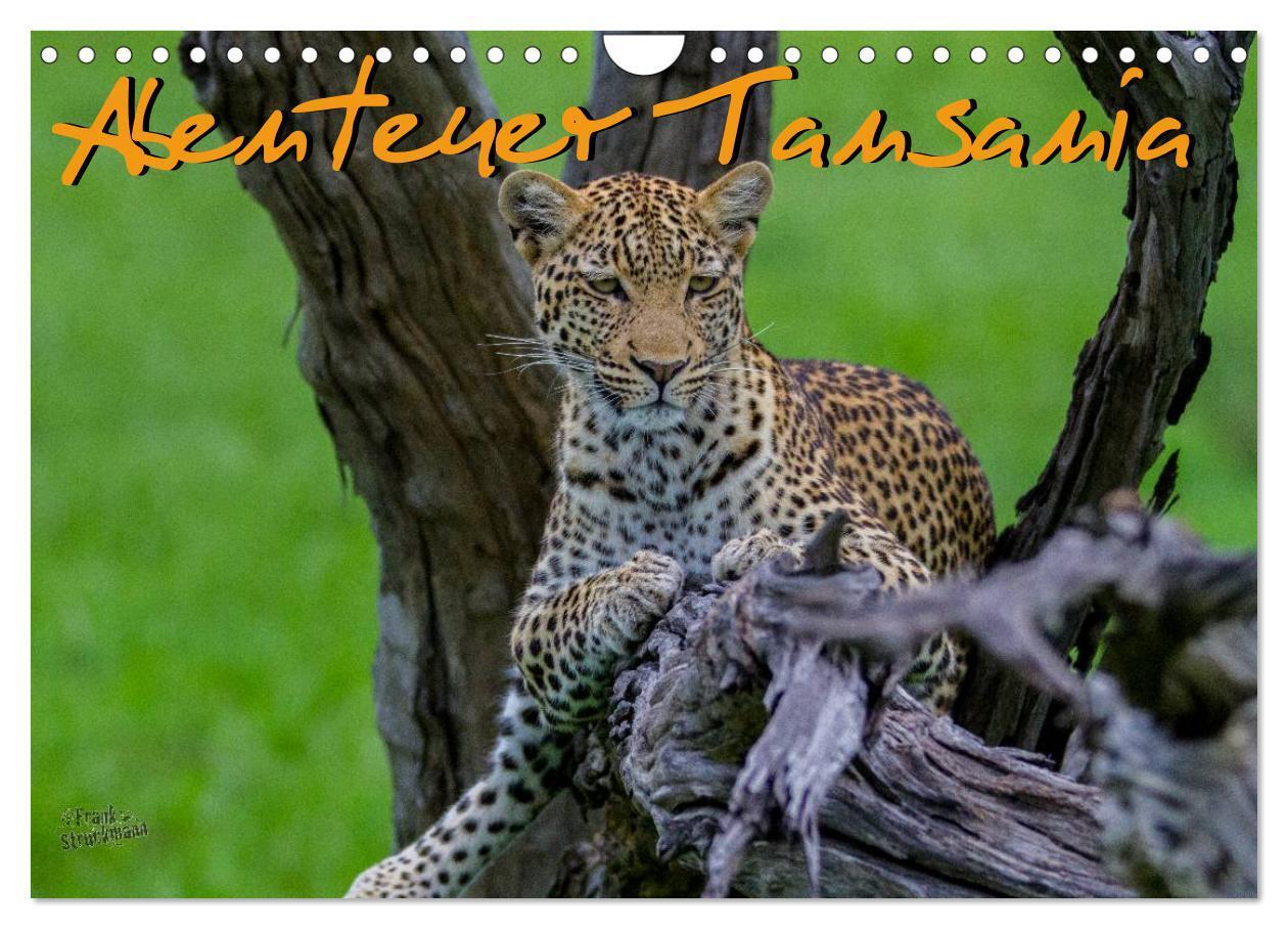 Cover: 9783383601309 | Abenteuer Tansania, Afrika (Wandkalender 2024 DIN A4 quer),...