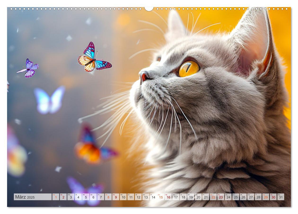 Bild: 9783383862618 | Die Katze und der Schmetterling (Wandkalender 2025 DIN A2 quer),...