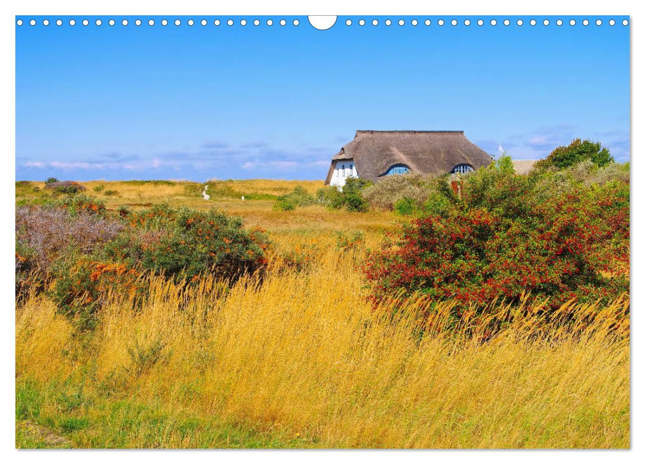 Bild: 9783435265015 | Insel Hiddensee - Dat söte Länneken (Wandkalender 2025 DIN A3...