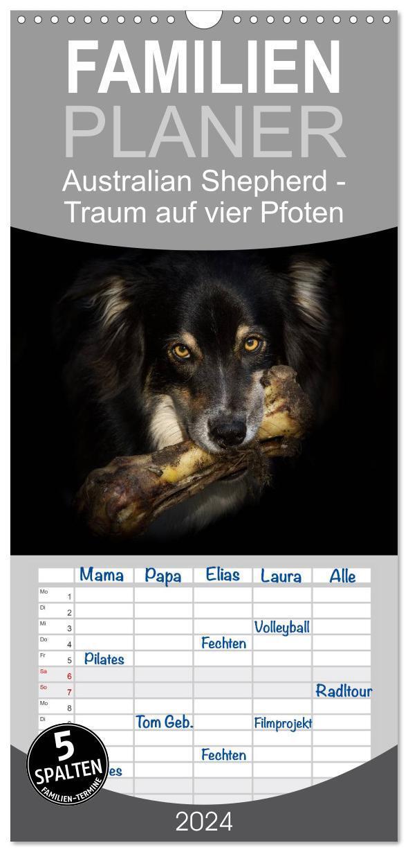 Cover: 9783383087257 | Familienplaner 2024 - Australian Shepherd - Traum auf vier Pfoten...