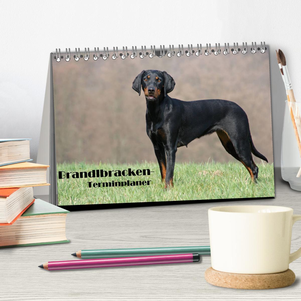 Bild: 9783435453740 | Der Brandlbracken-Terminplaner (Tischkalender 2025 DIN A5 quer),...