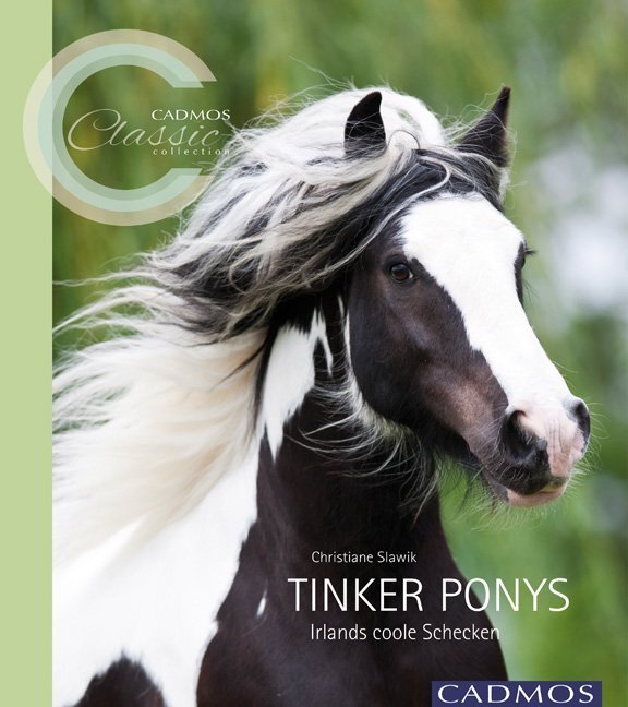 Cover: 9783840400254 | Tinker Ponys | Irlands coole Schecken. Ungekürzte Ausgabe | Slawik