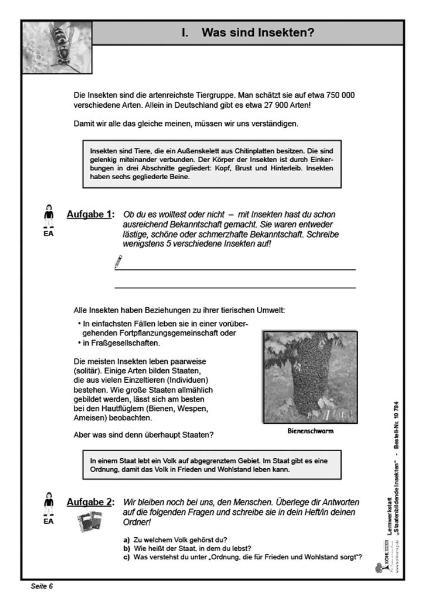 Bild: 9783866327948 | Lernwerkstatt - Staatenbildende Insekten | Bienen, Wespen und Ameisen