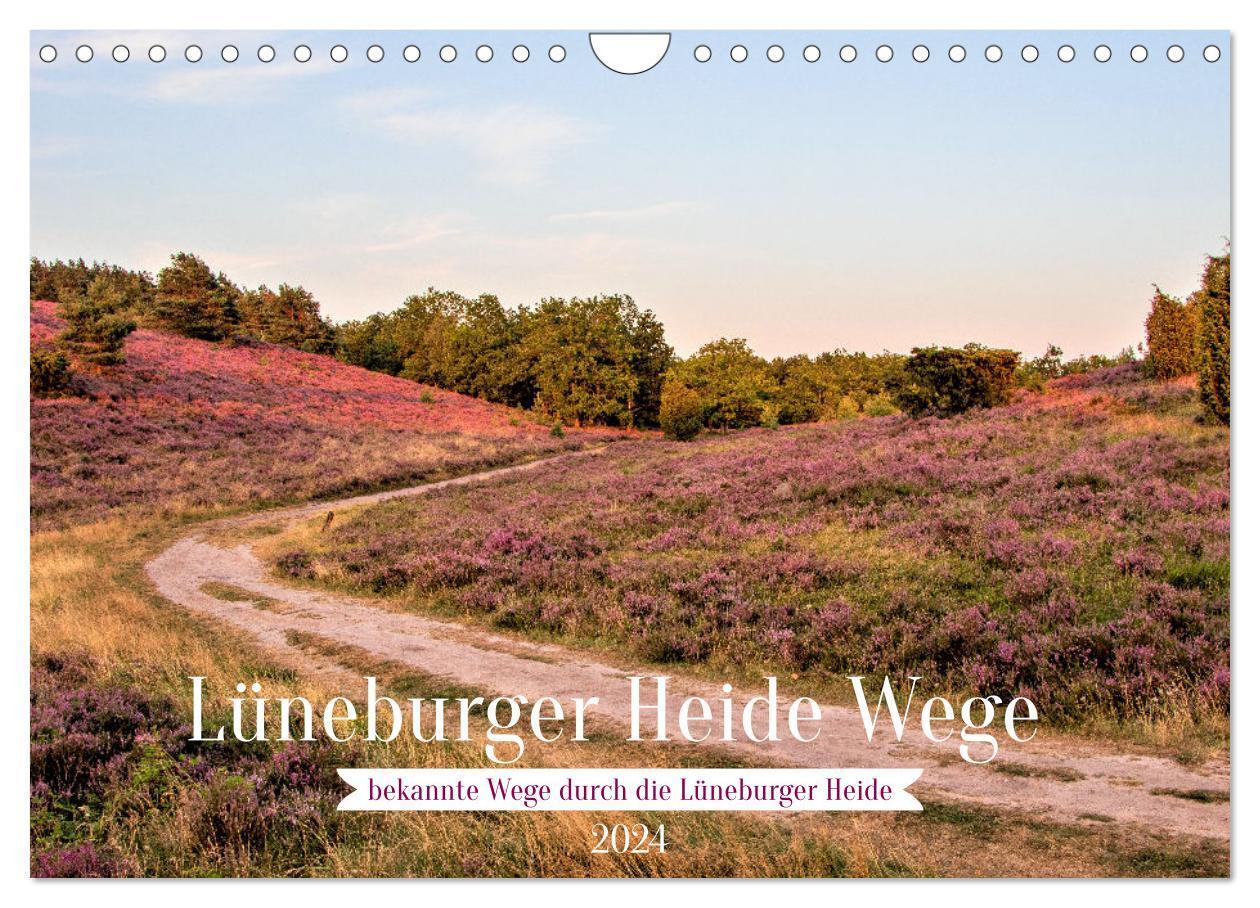 Cover: 9783675434509 | Lüneburger Heide Wege (Wandkalender 2024 DIN A4 quer), CALVENDO...