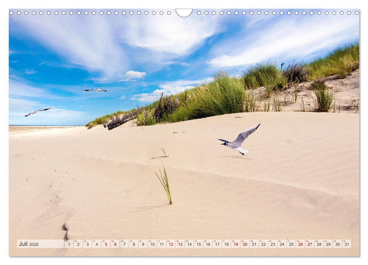 Bild: 9783435080885 | BORKUM-LIEBE (Wandkalender 2025 DIN A3 quer), CALVENDO Monatskalender