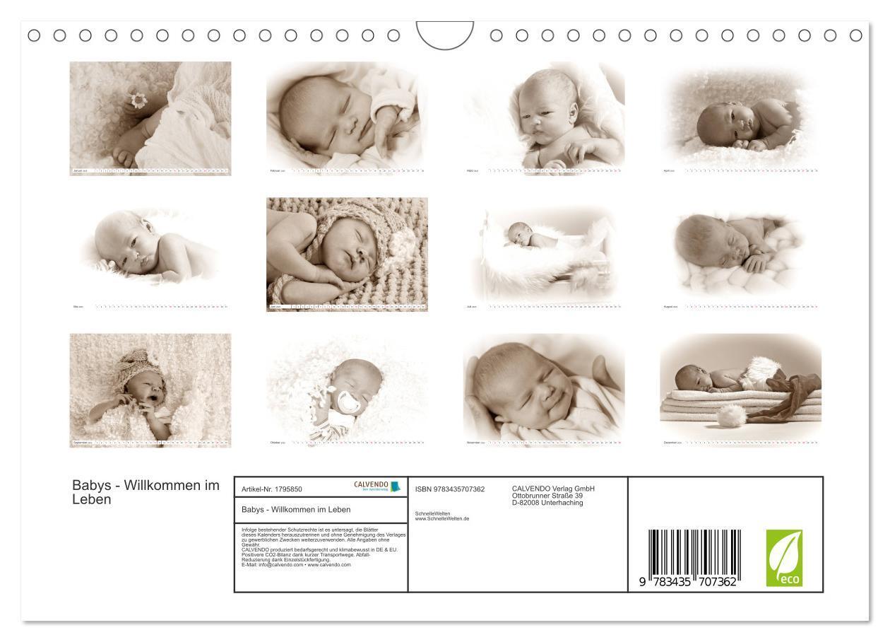 Bild: 9783435707362 | Babys - Willkommen im Leben (Wandkalender 2025 DIN A4 quer),...