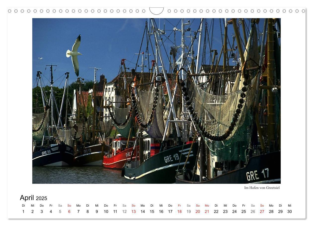 Bild: 9783435832392 | Krabbenkutter in Ostfriesland (Wandkalender 2025 DIN A3 quer),...