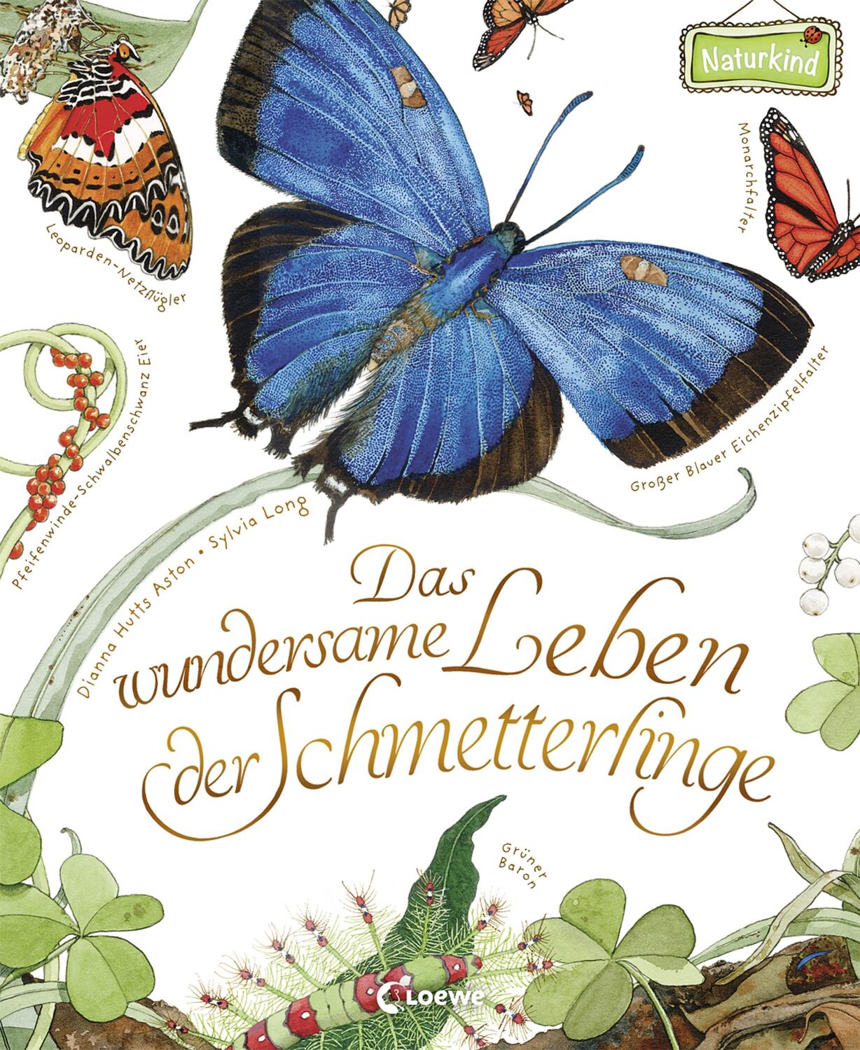 Cover: 9783785587508 | Das wundersame Leben der Schmetterlinge | Dianna Aston | Buch | 2017