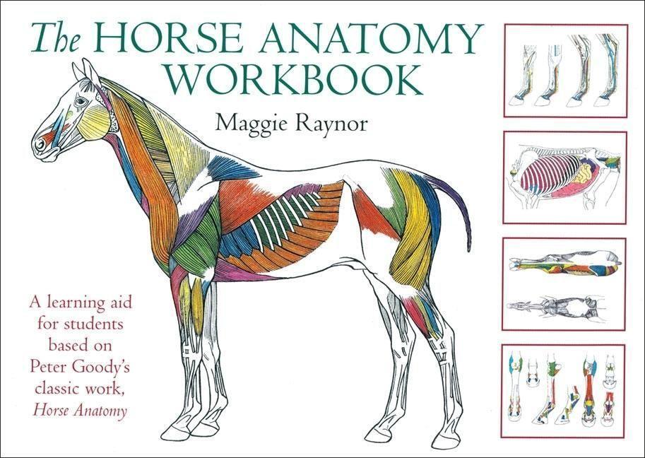 Cover: 9780851319056 | Horse Anatomy Workbook | Maggie Raynor | Taschenbuch | Allen Student