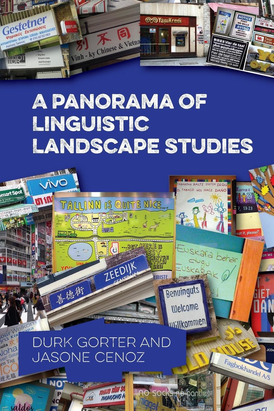 Cover: 9781800417137 | A Panorama of Linguistic Landscape Studies | Durk Gorter (u. a.)