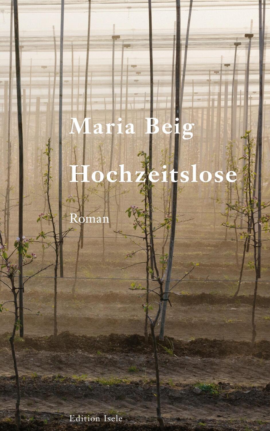 Cover: 9783861426271 | Hochzeitslose | Maria Beig | Taschenbuch | Paperback | 124 S. | 2023