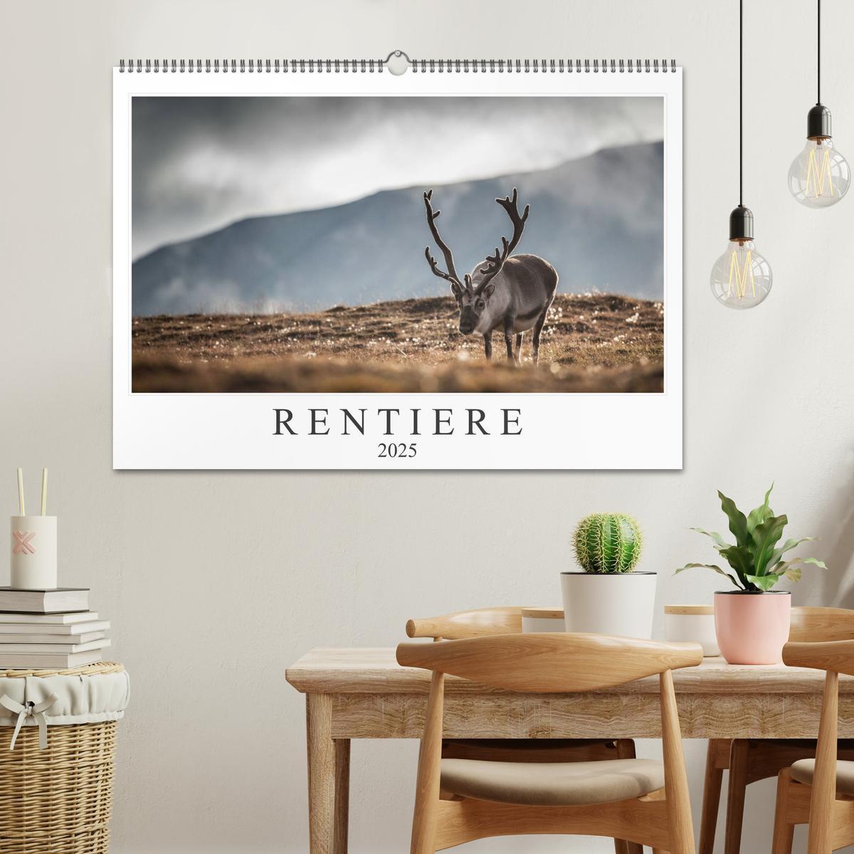 Bild: 9783435306244 | Rentiere (Wandkalender 2025 DIN A2 quer), CALVENDO Monatskalender