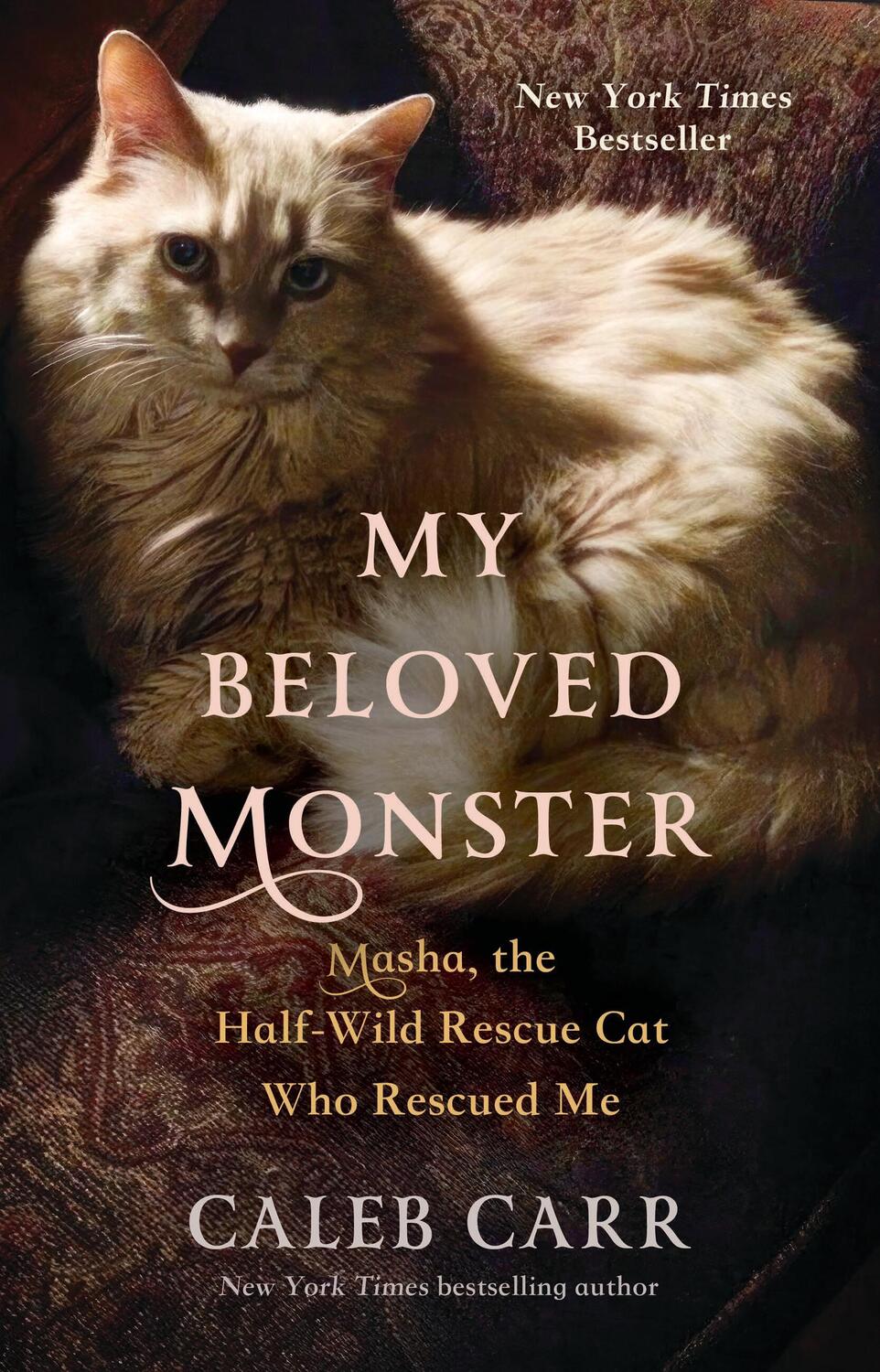 Cover: 9780316503600 | My Beloved Monster | Masha, the Half-Wild Rescue Cat Who Rescued Me