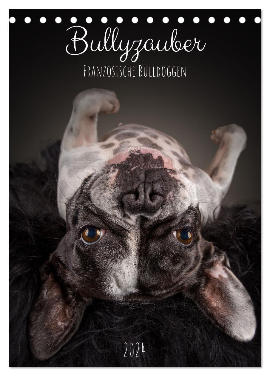 Cover: 9783675621909 | Bullyzauber - Französische Bulldoggen (Tischkalender 2024 DIN A5...