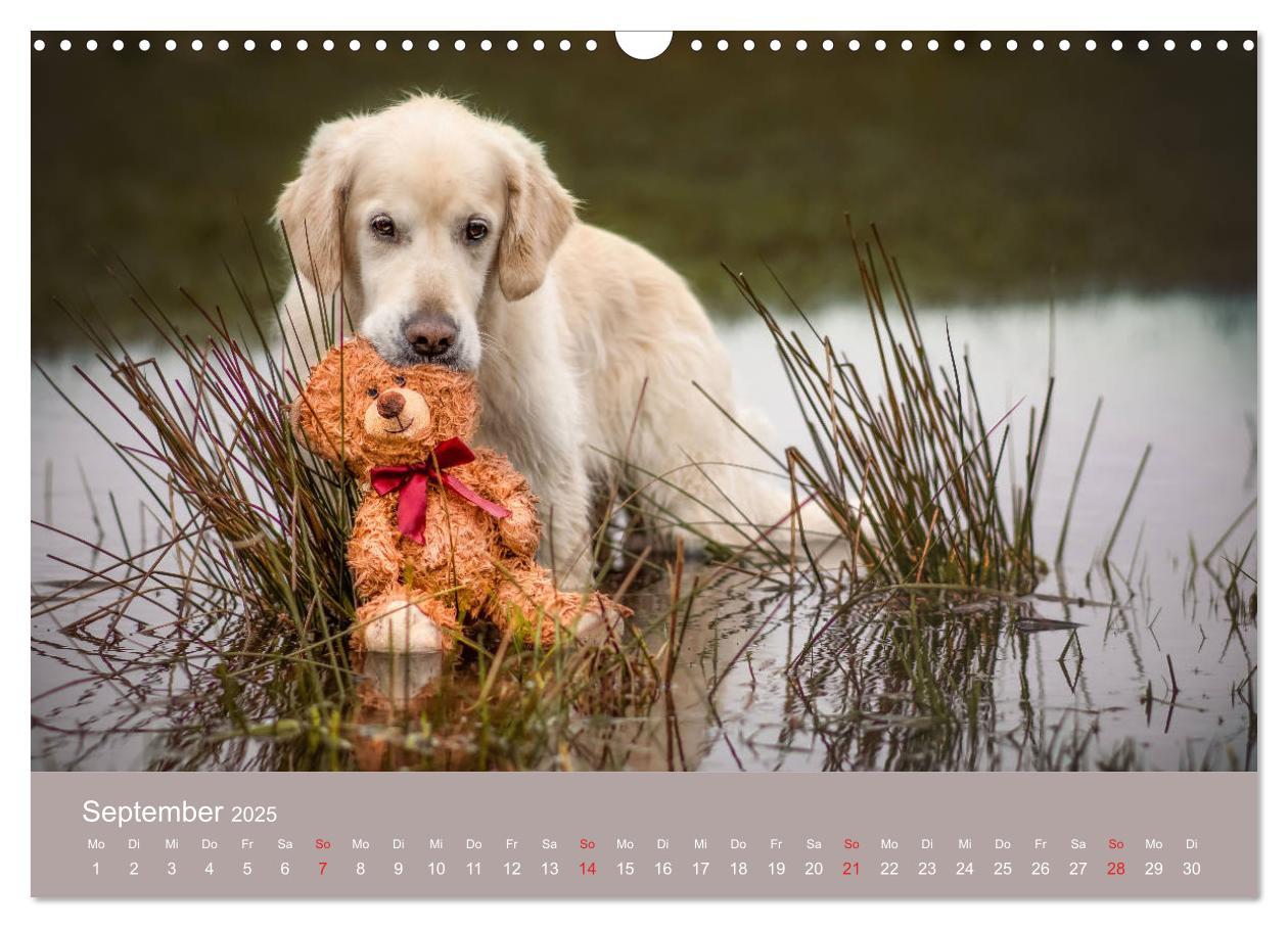 Bild: 9783435153480 | Grace und Cuba - Das verrückte Leben der Golden Girls (Wandkalender...