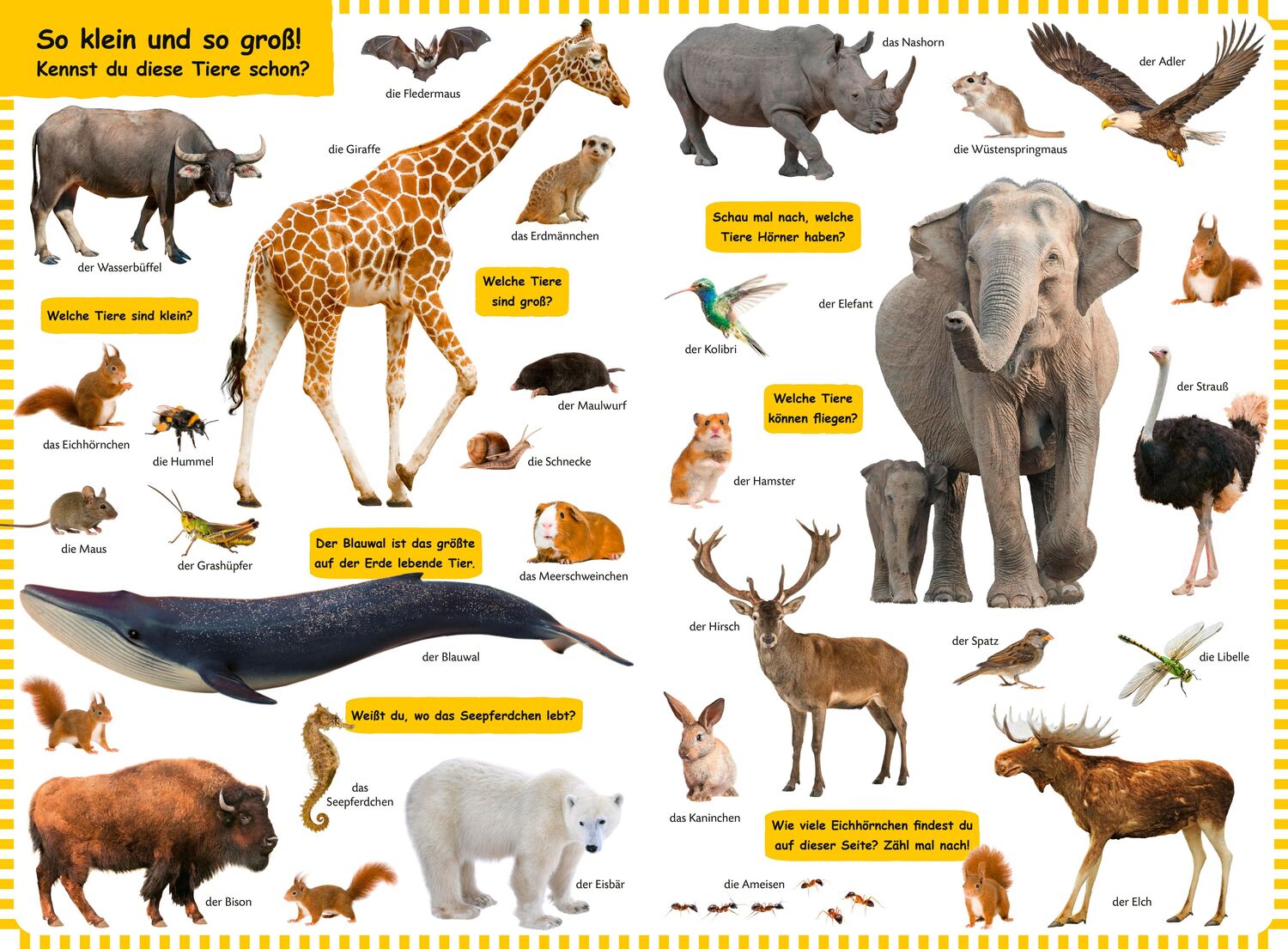 Bild: 9783737334914 | Duden 18+: Kennst du das? Das große Tiere-Bildwörterbuch | Buch | 2022