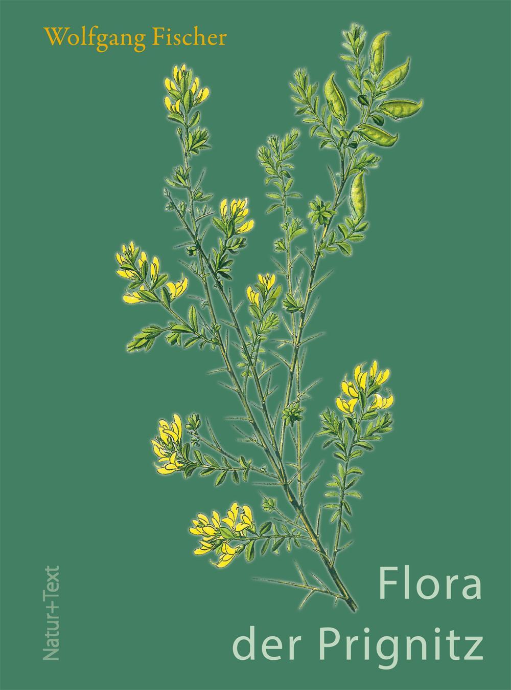 Cover: 9783942062299 | Flora der Prignitz | Wolfgang Fischer | Buch | Deutsch | 2017