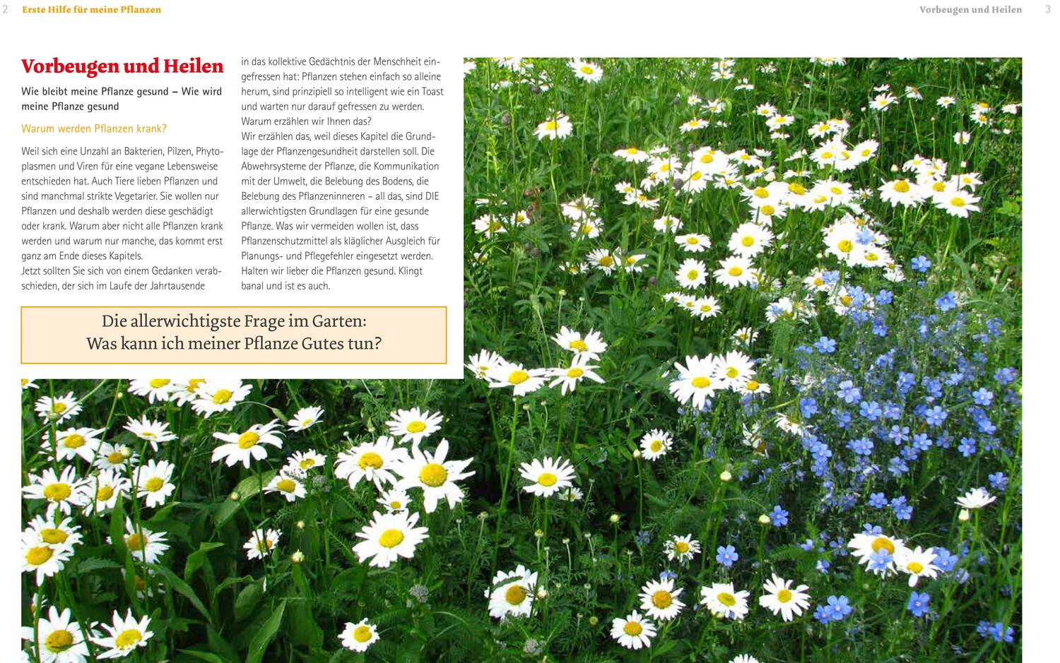 Bild: 9783706625937 | Handbuch Pflanzenschutz im Biogarten | Fiona Kiss (u. a.) | Buch