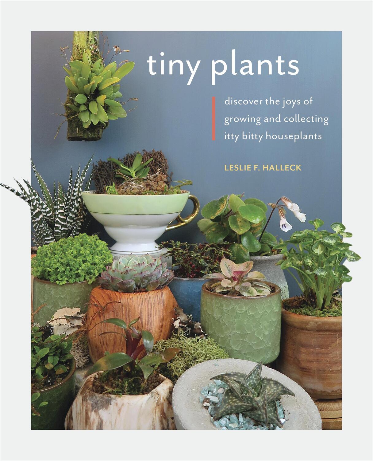 Cover: 9780760369579 | Tiny Plants | Leslie F. Halleck | Taschenbuch | Englisch | 2021