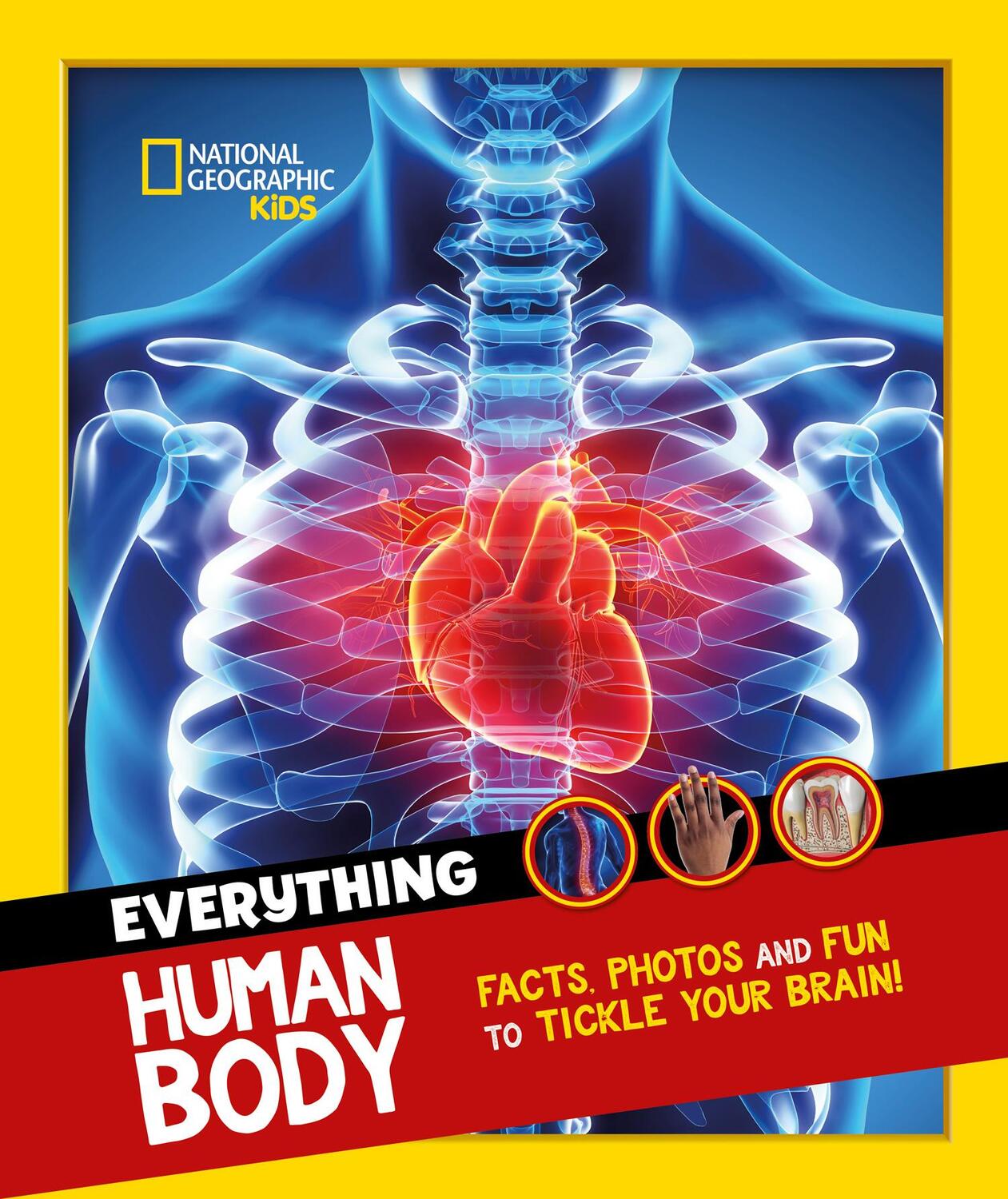 Cover: 9780008541583 | Everything: Human Body | National Geographic Kids | Taschenbuch | 2022