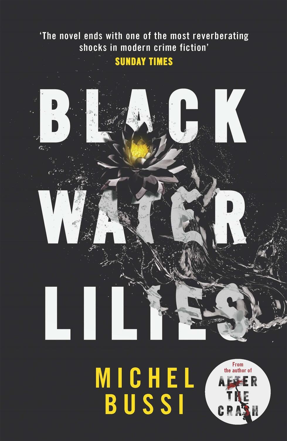 Cover: 9781474601764 | Black Water Lilies | Michel Bussi | Taschenbuch | 448 S. | Englisch