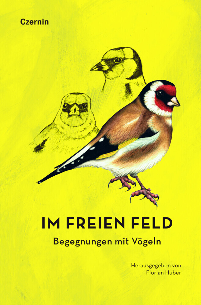 Cover: 9783707606942 | Im freien Feld | Begegnungen mit Vögeln | Florian Huber | Buch | 2020
