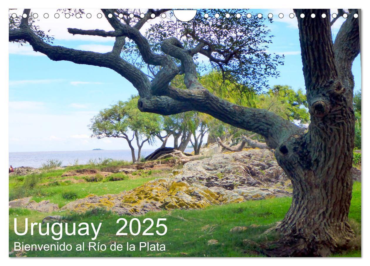 Cover: 9783435223176 | Uruguay - Bienvenido al Río de la Plata (Wandkalender 2025 DIN A4...