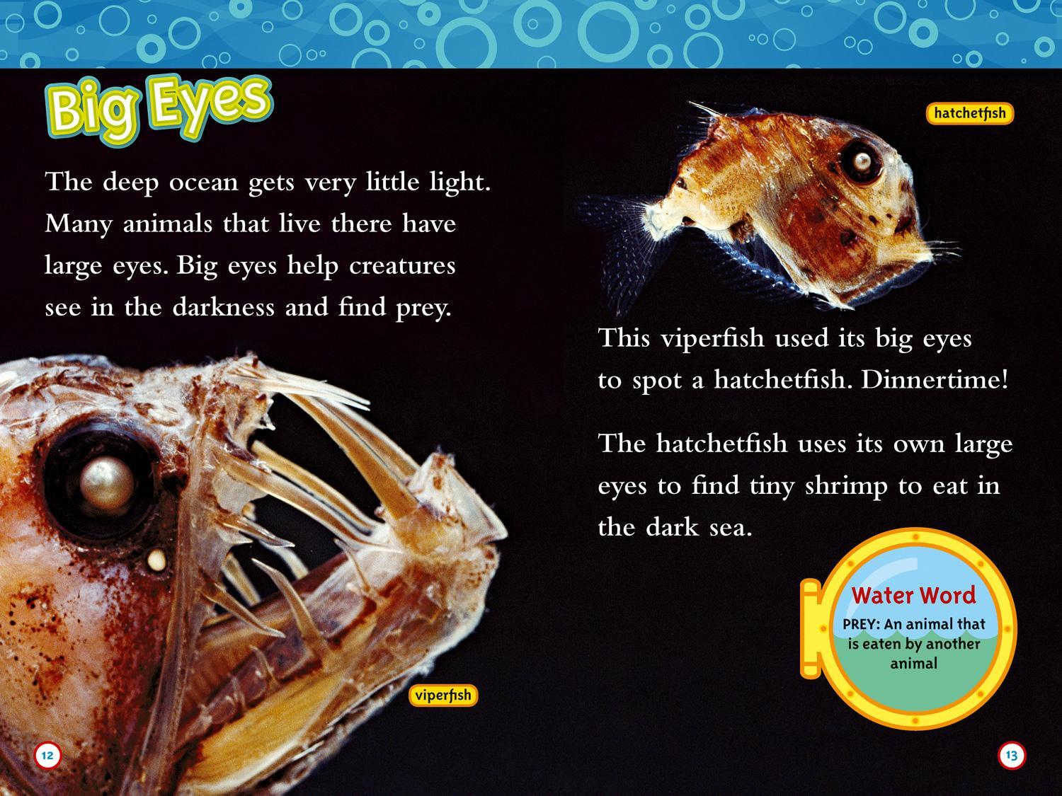 Bild: 9780008266721 | Weird Sea Creatures | Level 3 | Laura Marsh (u. a.) | Taschenbuch