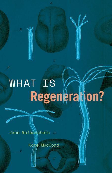 Cover: 9780226816562 | What Is Regeneration? | Jane Maienschein (u. a.) | Taschenbuch | 2022