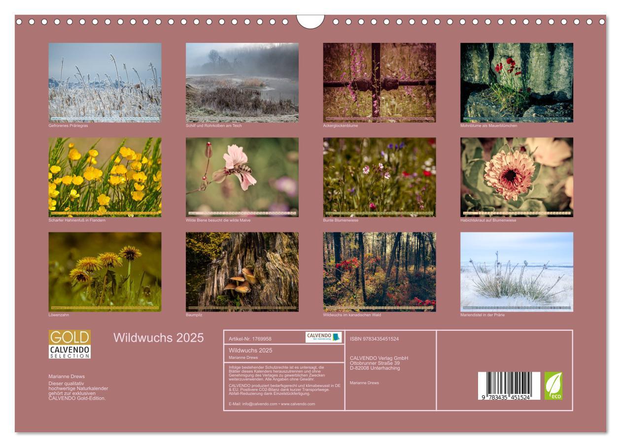 Bild: 9783435451524 | Wildwuchs 2025 (Wandkalender 2025 DIN A3 quer), CALVENDO...