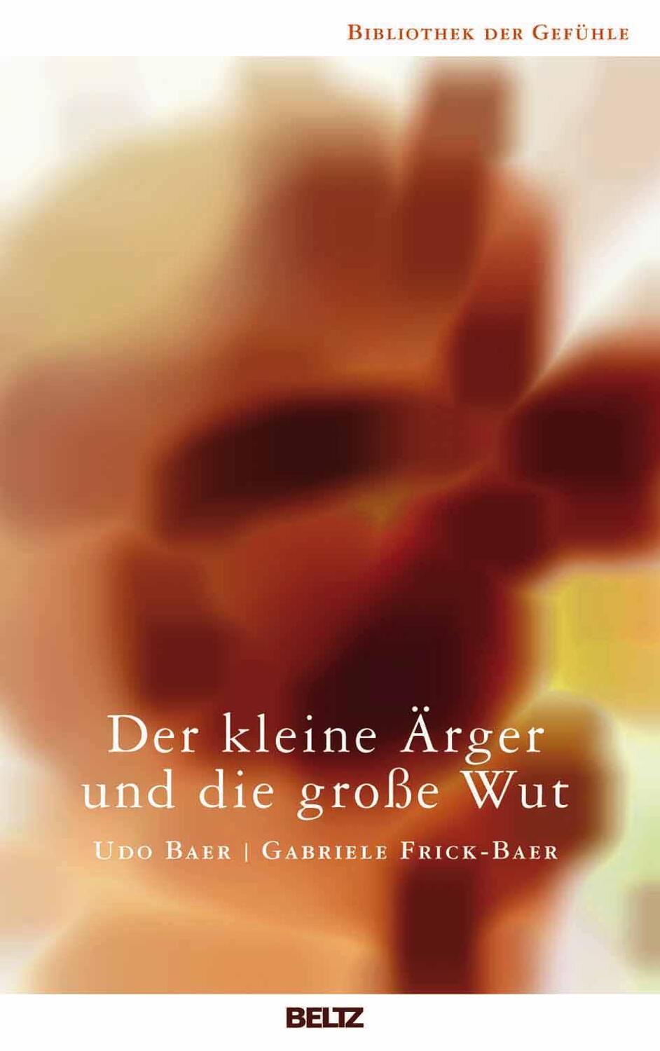 Cover: 9783407858825 | Der kleine Ärger und die große Wut | Udo Baer (u. a.) | Taschenbuch